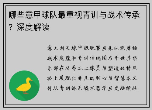 哪些意甲球队最重视青训与战术传承？深度解读